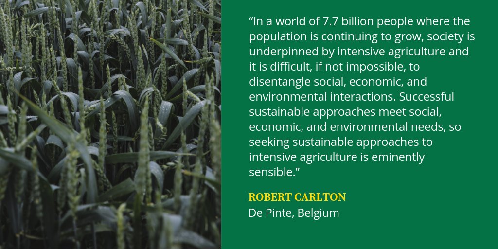 FoodEnergySec's tweet photo. The Special Issue on Sustainable Intensification is available online in Food and Energy Security.
 
Browse here👉https://t.co/VwYWHm2UHW
Editorial by Rob Carlton👉https://t.co/Fmbr4U2EoK
#Sustainability #SustainableAgriculture #FoodSecurity #FoodEnergySecurity https://t.co/YptQnjtxxR