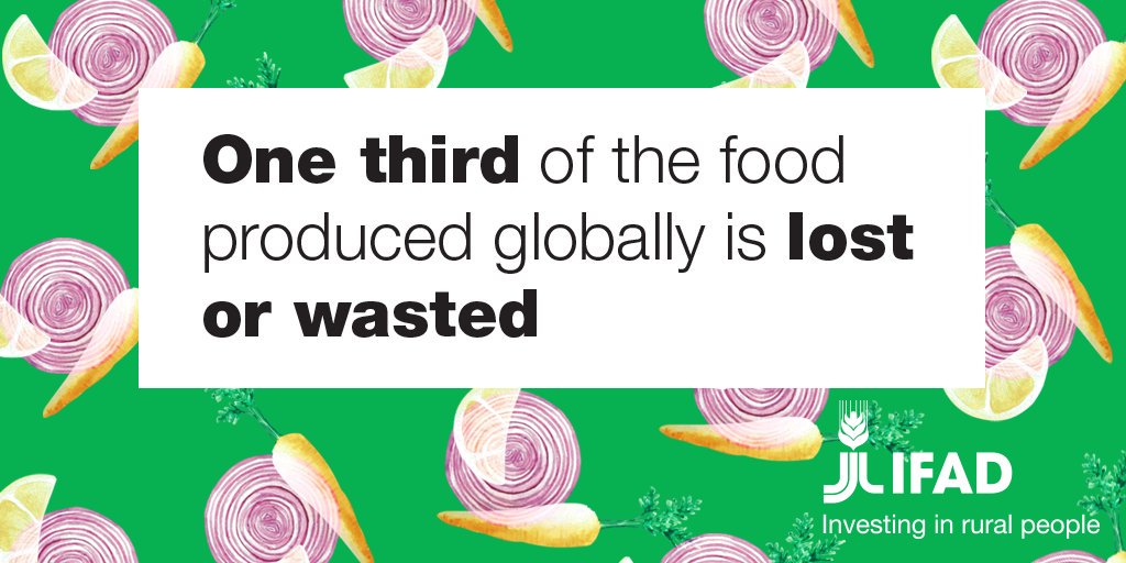 Food loss affect all agricultural produce, from fruit, vegetables, grains and pulses to meat, dairy, fish and animal products, with perishable products being affected the most. 
#WorldFoodDay