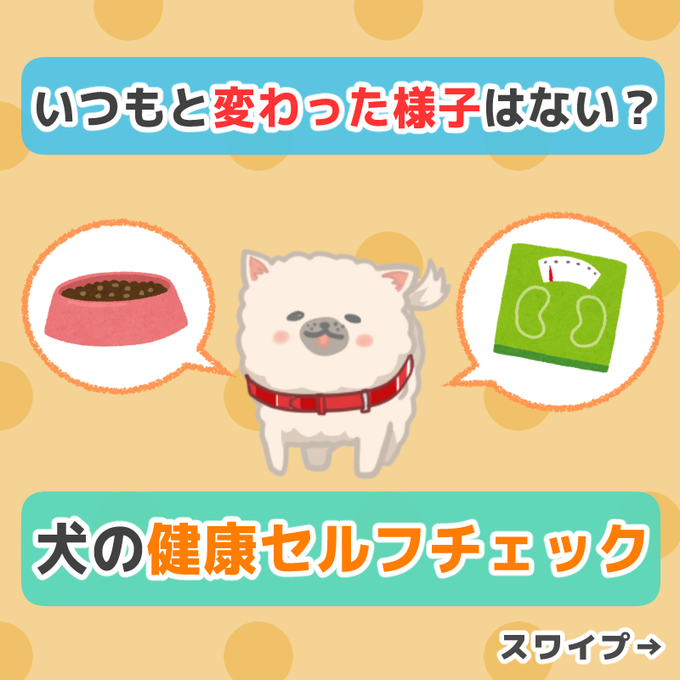 犬のごはん塾のtwitterイラスト検索結果 犬のごはん塾のtwitterイラスト検索結果