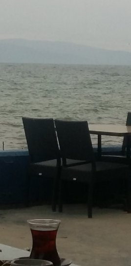 arifkula1's tweet image. #faniler
