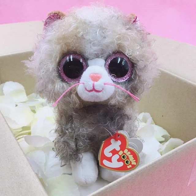 Ty Japan タイ ジャパン 公式 小道で出会ったかわいい かわいい子猫ちゃん 名前はスクラッピー 10月 16日 はこの子の お誕生日 Ty Tyjapan Beanieboos ビーニーブーズ ネコ Happybirthday Kitty T Co Tchpi0egms T Co Ty Japan タイ ジャパン 公式 小道で出会ったかわいい かわいい子猫ちゃん 名前はスクラッピー 10月 16日 はこの子の お誕生日 Ty Tyjapan Beanieboos ビーニーブーズ ネコ Happybirthday Kitty T Co Tchpi0egms T Co