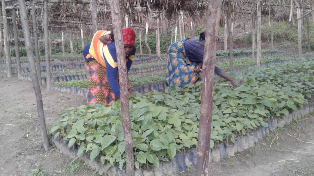 Caritas Rwanda joins other actors in nutrition and agriculture to celebrate #WorldFoodday 2019. A healthy diet leads to a healthy life.We promote healthy eating during the first #1000 days of life.

#USAID Gikuriro, #USAID Gimbuka, #USAID Twiyubake, #Voice for Change