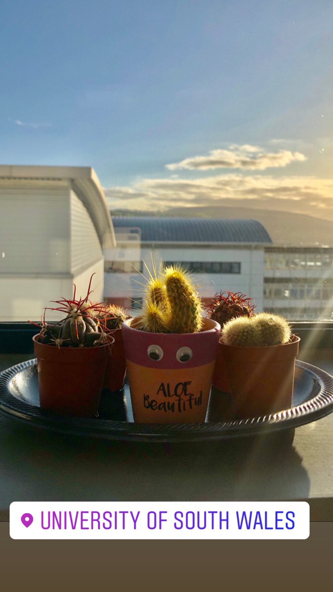 Some new office friends for J413 🌵  <a href="/AnnaSkelt94/">Anna Skelt</a>