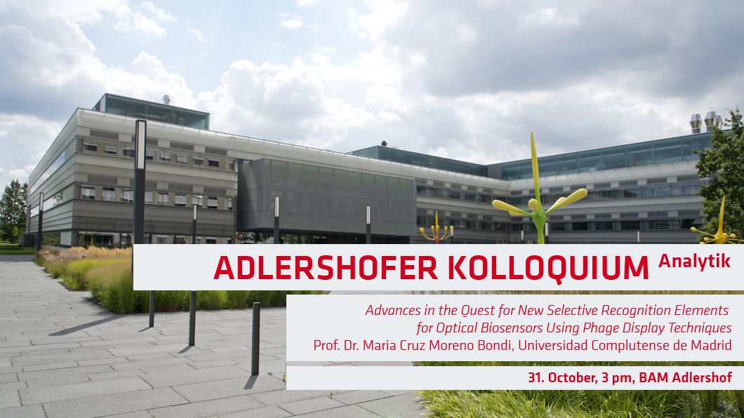 BAMResearch's tweet photo. On 31. October we’re happy to have Maria Cruz Moreno-Bondi from @unicomplutense at #BAMResearch #Adlershof to talk with us about the development of #mimotopes and various mimotope-based immunoassays. Don’t miss! https://t.co/Ryhatu7Xy3 @berlinscience https://t.co/YwslvIwEOc