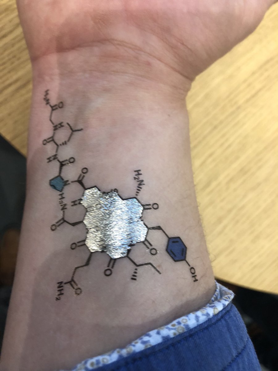ansemspa's tweet photo. Something I never expect would happen in my life but I got a #tattoo and who else than the @ChemDrawWizard to apply it on my skin. Get yours at the @Chemdraw stand at @PKI_Informatics #Nexus2019 https://t.co/4SQ75mvG60