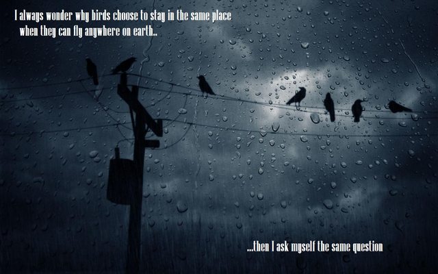 simfind's tweet image. Depends on which kind of birds are we talking about .

#simfind
#TrackYourFriendz

play.google.com/store/apps/det…

simfind.co.za