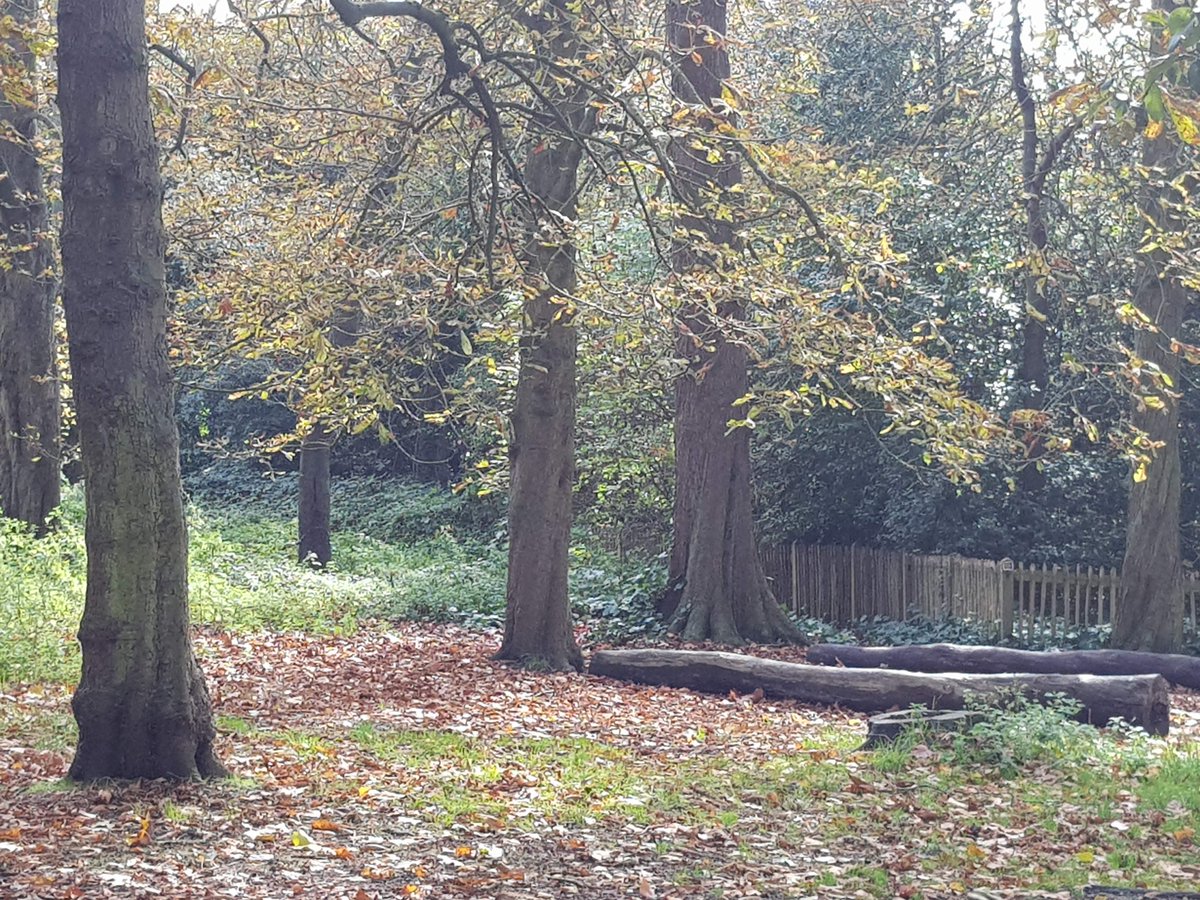 Breakfast People backlogs are actual logs #coaching #walking #secretlondon