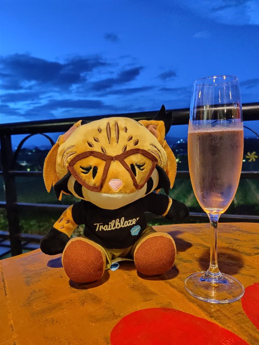 rutvikkmajmudar's tweet photo. The journey of a thousand miles begins with a single step : “TRAILHEAD” 
Cheers!! 🥂
@salesforce 
#partnerexchange #salesforce #salesforceapac #SalesforceOhana https://t.co/Q0kBpFAXBB