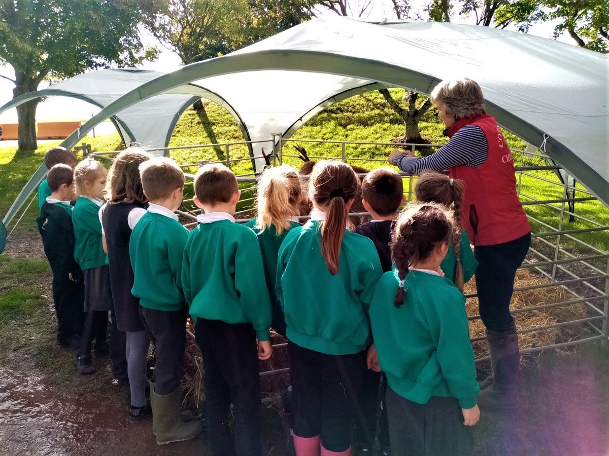Yesterday we went to <a href="/farmwisedevon/">Farmwise</a> and had a fantastic time educating primary school children about Christmas trees and reindeer. It's a fab event and we think it's extremely important to be educating and inspiring the next generation about agriculture and farming #futurefarmers