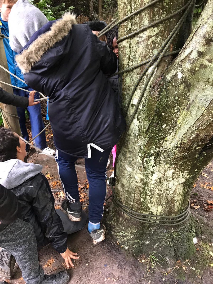 aquinastrinity's tweet photo. Tackling the giant spiders web using problem solving skills #problemnoproblem https://t.co/mQtrYWyPr0