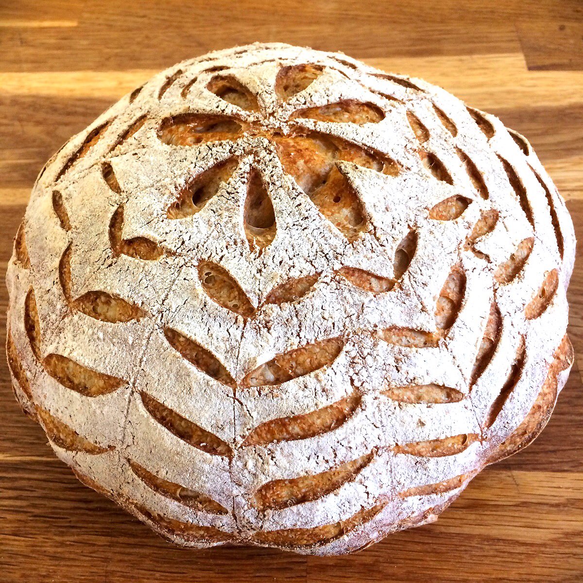 blisswoo's tweet photo. #WorldBreadDay sourdough made with 30% @fwpmatthews stoneground wholemeal flour 😊 #sourdough #realbread https://t.co/bWfVI6ES0b