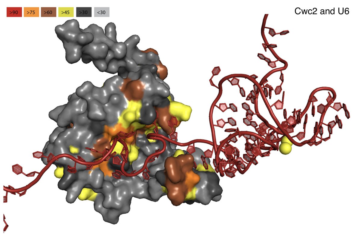 rna_tools tweet picture