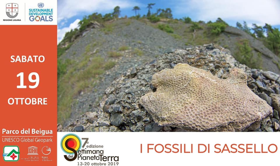 Per la Settimana del Pianeta Terra, sabato 19 ottobre, il Parco Beigua - Unesco Global Geopark organizza un'escursione che ci riporta indietro nel tempo a quando Sassello era ricoperto da un mare tropicale!
Per info: comune.varazze.sv.it/c009065/po/mos…