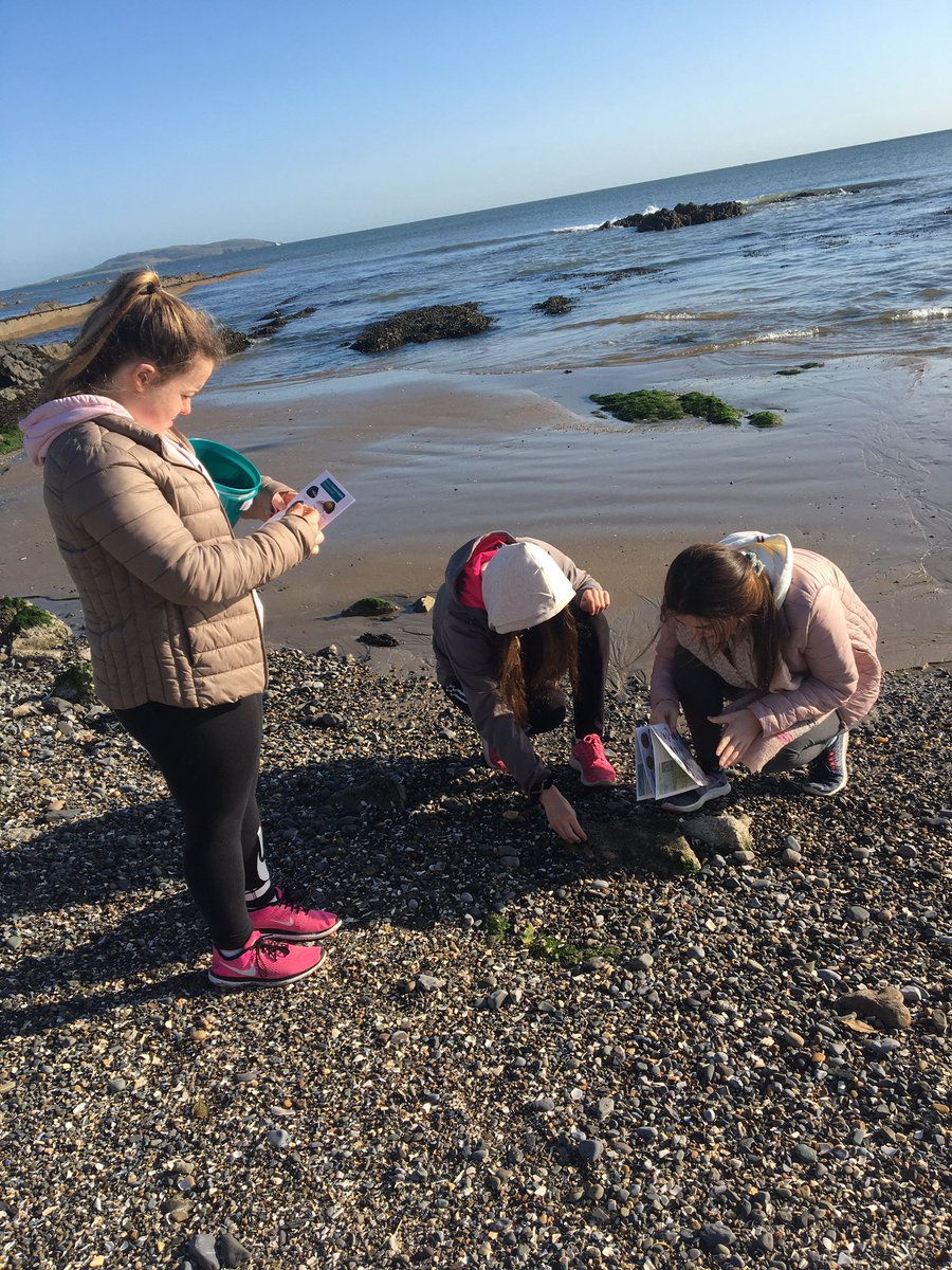 StColmsHigh's tweet photo. Enjoying discussing marine wildlife in the rocky shore at Portmarnock beach. Much thanks to the team at @GreenSchoolsIre and to @Eco_SchoolsNI for allowing our pupils this opportunity #ClimateWeek2019 @ScreenEco https://t.co/jAQAAN8DFz