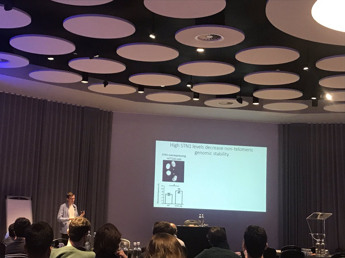 Cells, Genes and Molecules - Newcastle tweet media