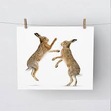 Congratulations to Hawes artist Stacey Moore (<a href="/staceymooreart/">Stacey Moore</a>), who has been named best creative business in the northern regional finals of the Rural Business Awards!