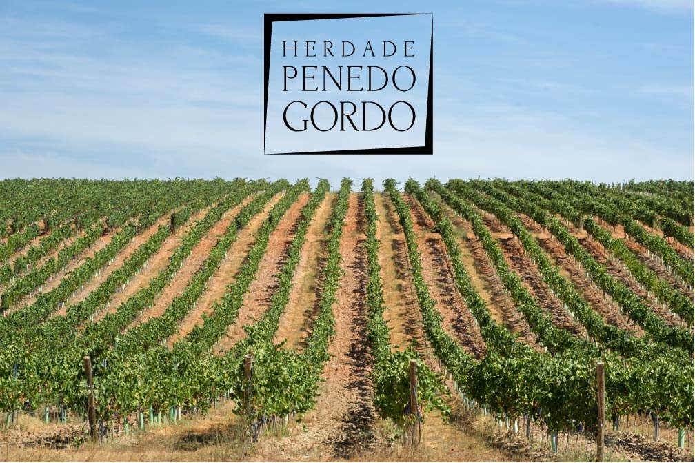 quintadasarcas's tweet photo. Uma perspectiva da Herdade de Penedo Gordo! Incrível ! .
.
#herdadepenedogordo #aletenjo #vinhodoalentejo
#vinhoportugal #portugalwines #wine #winesofportugal
#instawine #winelover #vino https://t.co/SY7LEpLSeB