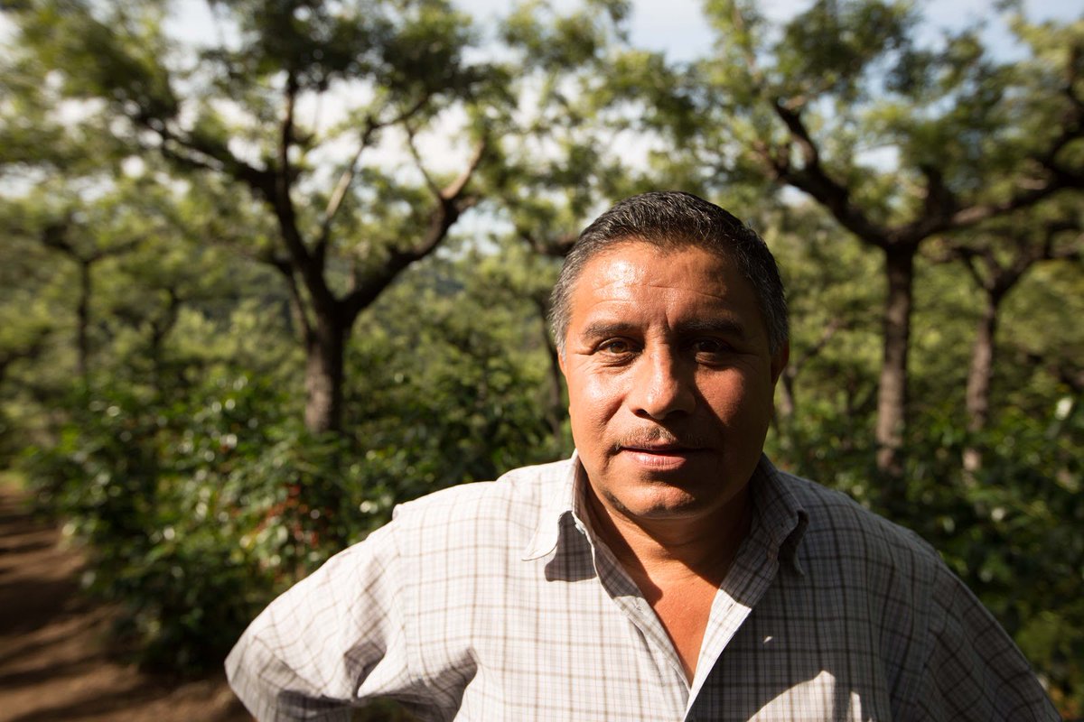 Guatemalacoffee's tweet photo. Our farmers care deeply about environmental preservation and biodiversity. That’s why many of them designate their land as private nature reserves. https://t.co/CY27dNkAIr https://t.co/tR3Up75BpA
