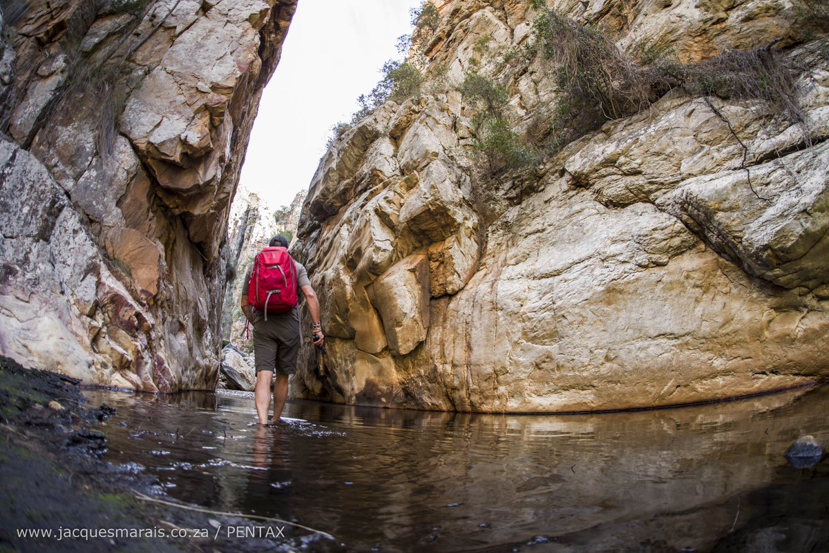 JacqMaraisPhoto's tweet photo. Next #trailrun Project is GO! Packing 4 @EcoBoundEvents #leopardrun along the breathtaking #leopardtrail in beautiful @baviaanskloof. Look forward to connecting with #nature & the outdoor crowd ๐๏ธ๐ท๐ฅ // @TRAILza @TribalTourist @Diverge_info @gotravelbug @SPOT_Africa @GarminSA https://t.co/TfJjFXz9CO
