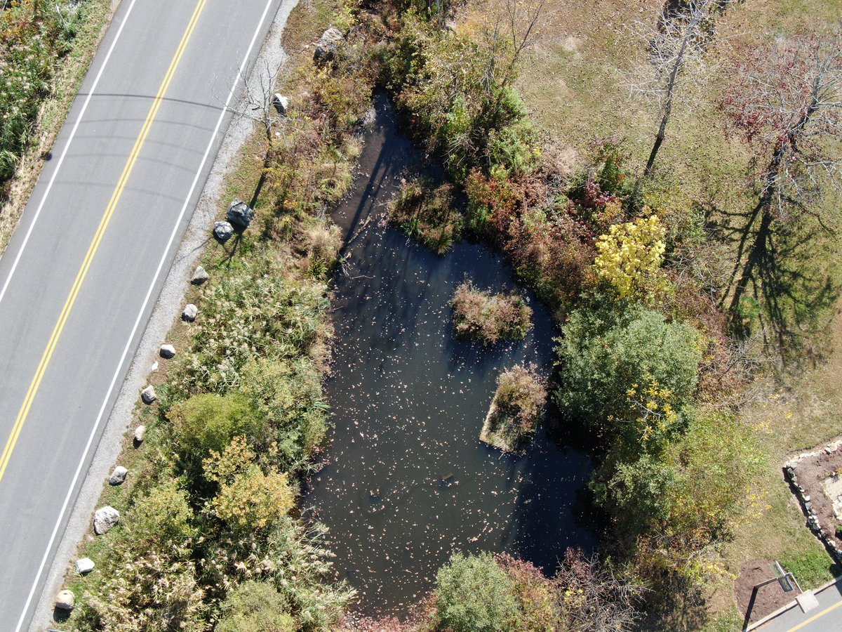 JZEdTech's tweet image. Drone footage of the creek outside MHS, filmed for the genesis club. Mahopac drones are in the sky!