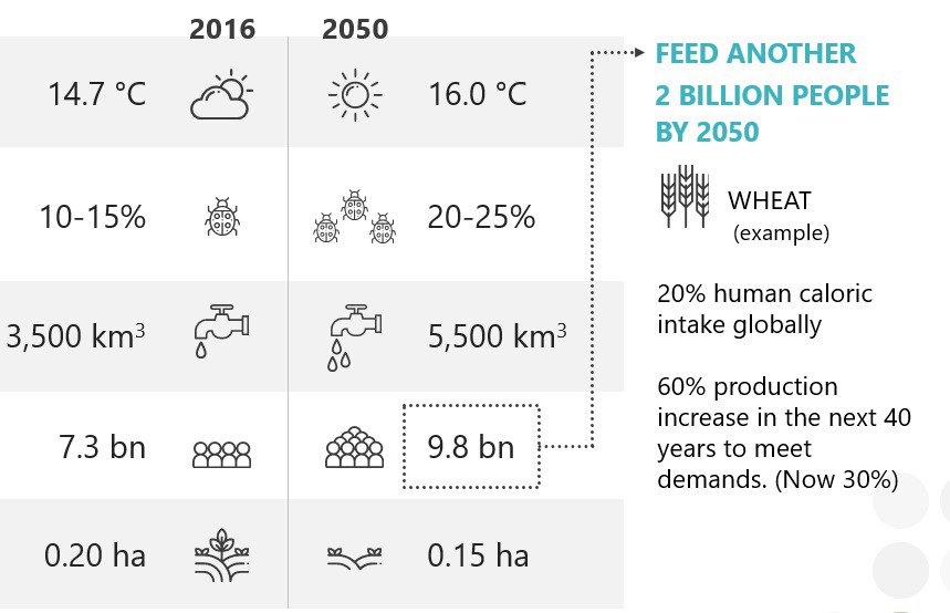 Today is #worldfoodday! 
With an ever increasing global food demand, Genomics holds the key to the upcoming challenges of the changing environment. <a href="/NRGene/">NRGene</a> Nrgene is proud to take part in this exciting journey