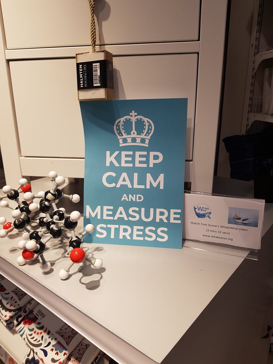 CortisolNetwork's tweet image. Talking Stress today @IKEAEdinburgh with "Stress Busters" @MidlothSciFest #EdUniCvs Talk to our scientists about Cortisol in humans, horses &amp;amp;whales, Mass Spectrometry &amp;amp; try mini Chromatography @EdinburghCRF @WhaleWiseLive @EdMassSpecCore @ScienceUoE