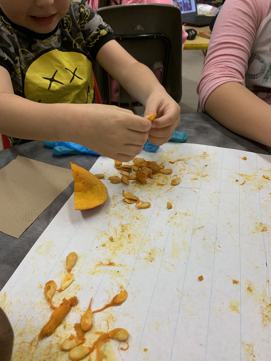 MWhiteSuperHero's tweet photo. The Super Scientists #misswhiteclass are investigating the different parts of a pumpkin @DufferinSchool @WISE_KidNetic #wsdstem #scienceisfun https://t.co/SY9xq2gQFl