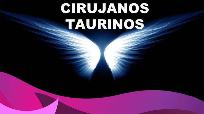 Los cirujanos taurinos y sus equipos médicos. Los ángeles de la guarda de los toreros, los útlimos héroes del siglo XX.
Gracias infinitas <a href="/Mundotorocom/">mundotoro.com</a> #FuerzaMarianoDeLaVina #FuerzaGonzaloCaballero #fuerzaguindi #FuerzaPerera #FuerzaAguilucho bit.ly/2qeDMkx