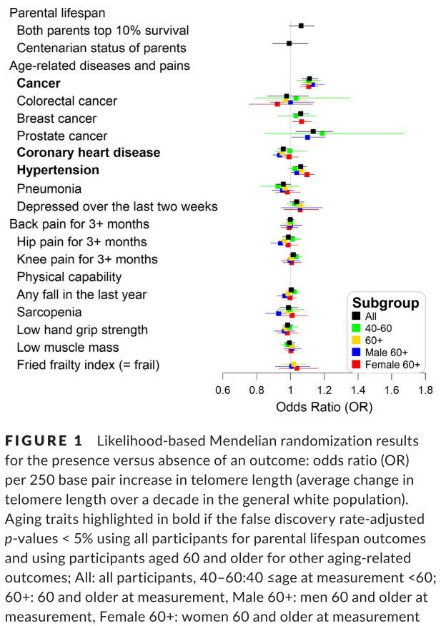 #Telomere lengthening may offer little gain in later-life #health and increase #cancer risk

Great work led by @chia_ling_kuo on #telomeres and #ageing in @uk_biobank

@george_kuchel @d_melzer
@UConnResearch @ExeterMed
@AgingCell
#MendelianRandomization

doi.org/10.1111/acel.1…