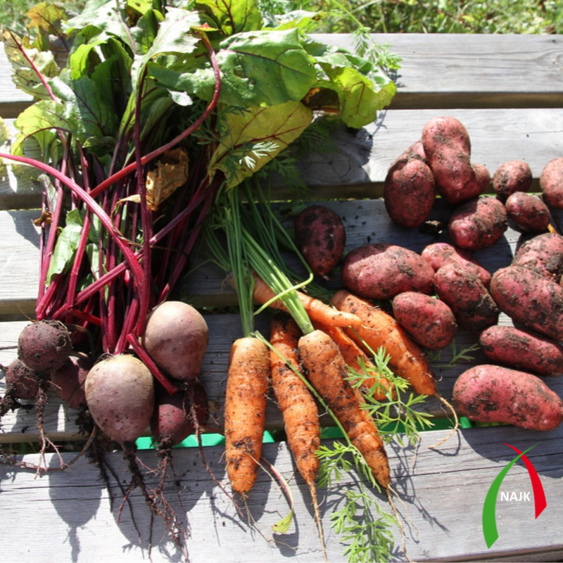 Vandaag is het #Wereldvoedseldag!🥔🥦🥕

Wij, jonge boeren, produceren het voedsel van morgen. Geef ons de ruimte om dit te blijven doen.

Iedereen die vandaag mee doet aan het boerenprotest: heel veel succes! #trotsopdeboer #boerentrots