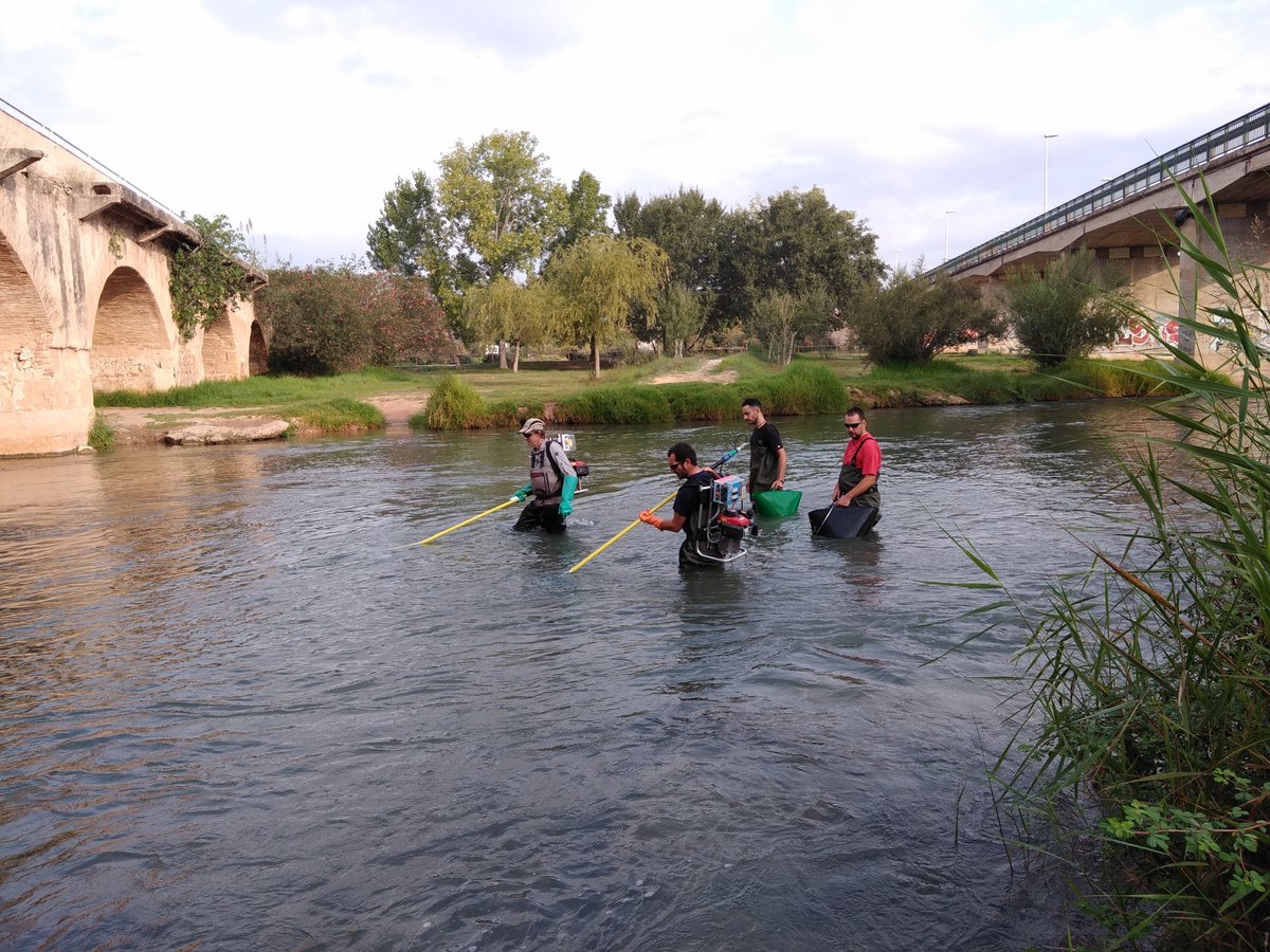 Confederación Hidrográfica del Júcar tweet media