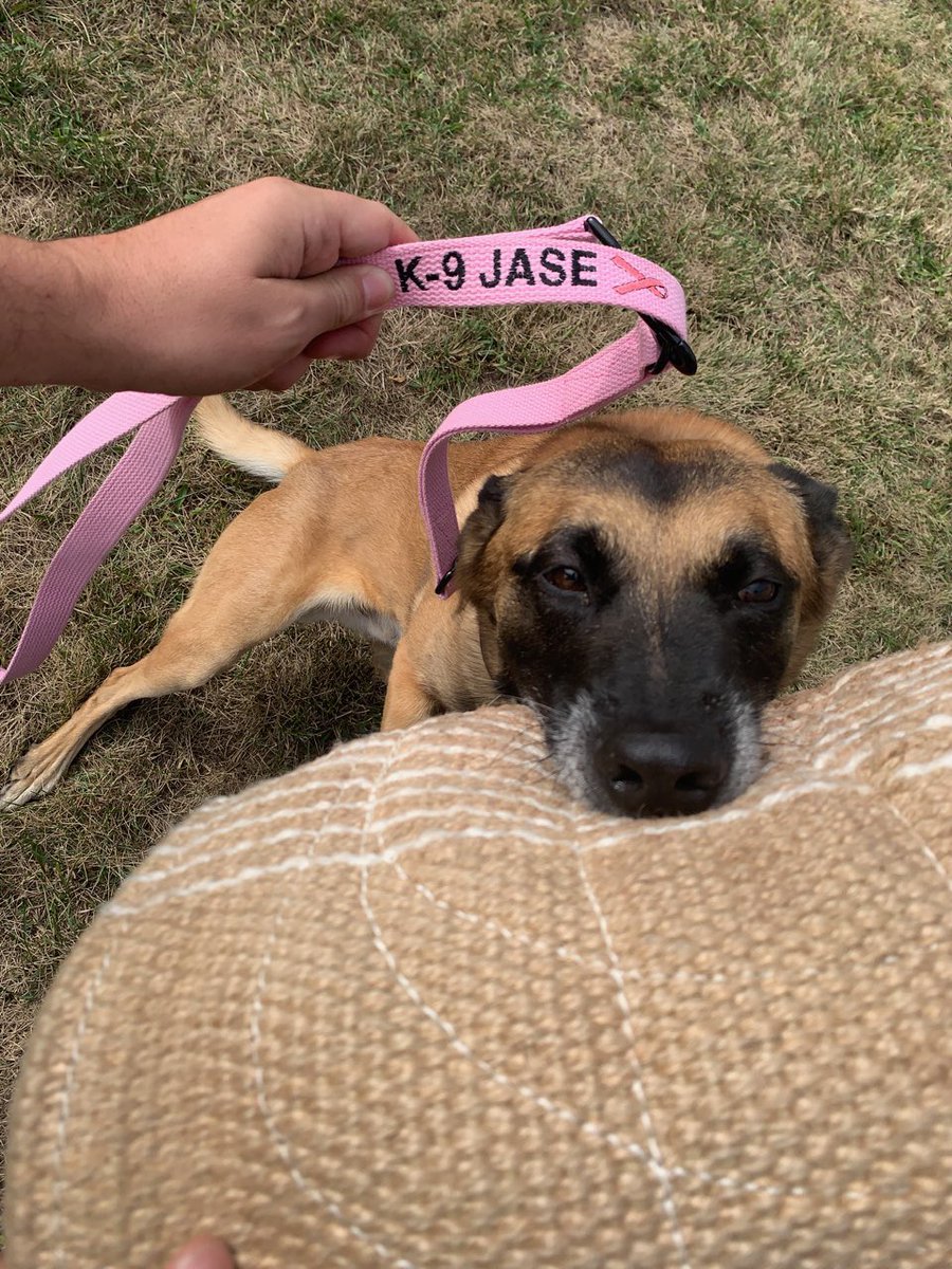 CarolSkaziak's tweet photo. #Septa K9 Jase is taking a bite out of #BreastCancerAwareness participating in @Throwawaydogs #projectpinkleash. Have you seen these pink leashes being used by Septa #k9unit in #PHILADELPHIA? @TNestel3 @SEPTAPHILLY @FOX29philly @PhillyInquirer @SteveLindsayCBS @NBCPhiladelphia https://t.co/366ZAcdsbD