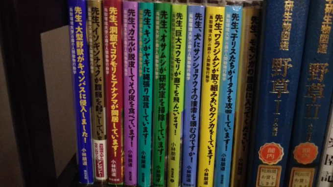 N区LINEスタンプの謎ナースみたいなタイトルの本があってびっくりしました～ 