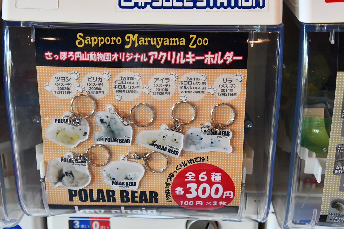 たてめおやじ 札幌市円山動物園のガチャガチャ 正門前のショップのところにあるやつです 5種類あります 全部やるとお金がいくらあっても足りないので ここで忍耐力を試されることになります 続く たてめおやじ 札幌市円山動物園のガチャガチャ 正門前のショップのところにあるやつです 5種類あります 全部やるとお金がいくらあっても足りないので ここで忍耐力を試されることになります 続く