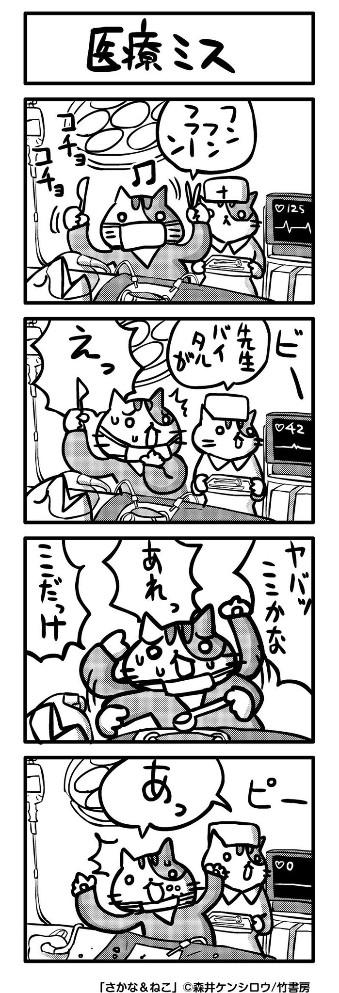 森井ケンシロウ さかな ねこ 医療ミス さかねこ ４コマ