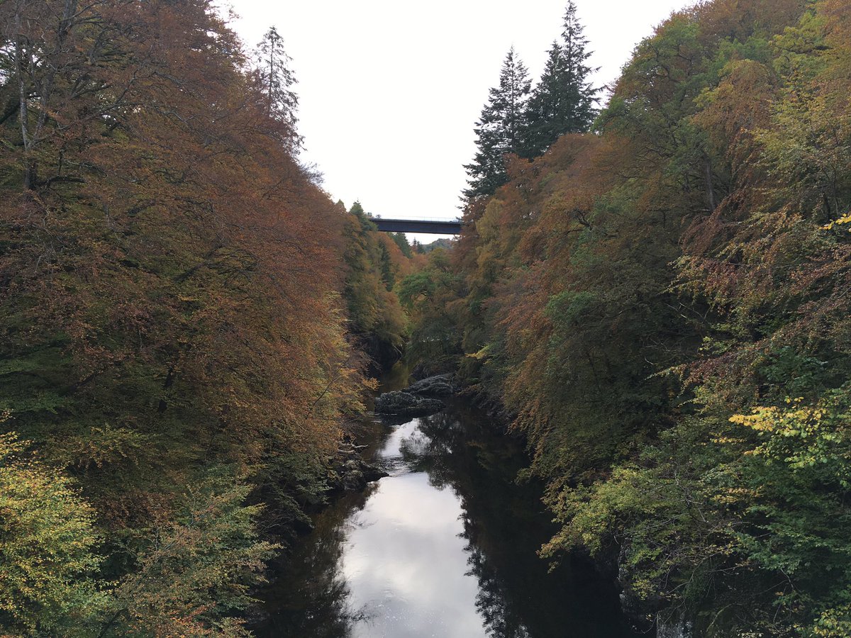 Ross Crawford (@rrmcrawford) on Twitter photo Yesterday we bungee-jumped off a 132 foot bridge at Killiecrankie! ๐ณ It was approximately ๐ฏx scarier than expected (I screamed a lot), but also very fun and memorable. Thanks to the staff at <a href="/bungeescotland/">Bungee Jump Scotland</a> for keeping us safe and calm (ish)! ๐ Yesterday we bungee-jumped off a 132 foot bridge at Killiecrankie! ๐ณ It was approximately ๐ฏx scarier than expected (I screamed a lot), but also very fun and memorable. Thanks to the staff at <a href="/bungeescotland/">Bungee Jump Scotland</a> for keeping us safe and calm (ish)! ๐