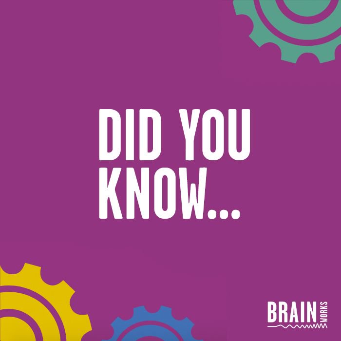 🧠 BRAIN FACTS 🧠

- The human brain weighs 3 pounds

- It comprises 60% of fat and is one of the fattest organs in the human body

- The human brain has the capacity to generate approximately 23 watts of power when awake

#Brainworks