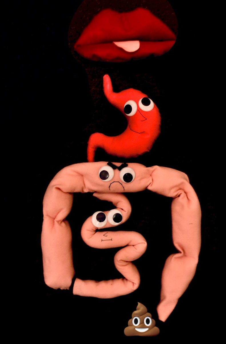 Happy #WorldFoodDay! What better way to celebrate this day than showing some of the organs of digestion that <a href="/MarinaCorrad/">Marina Corrado</a> and myself made. Come to see them with other activities linked with our research at <a href="/TheQuadram/">Quadram Institute</a> in the <a href="/NorwichSciFest/">Norwich Science Festival</a> on the 23th of Oct