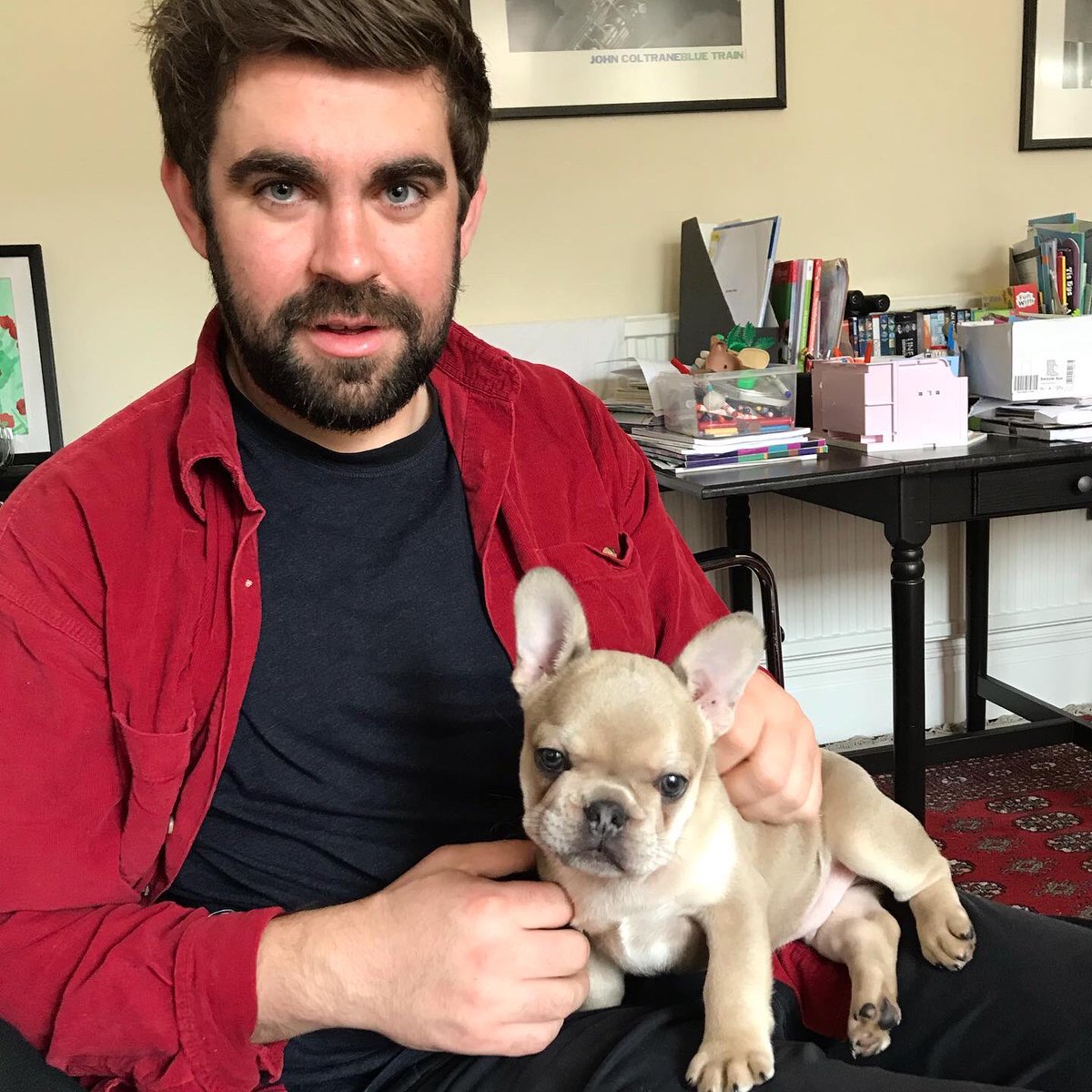 batchbottlestor's tweet photo. Meet Gary
•
Gary is our very own batch dog. Once he’s had his jabs and that he’ll be chilling with us and you in batch.
•
Gary can’t wait to start work and he’s coming to a batch near you soon.
•
#garybatch #batchdog #frenchbulldog #dog #bardog #whenbatchgotadog #batch https://t.co/kbRiZqKqip