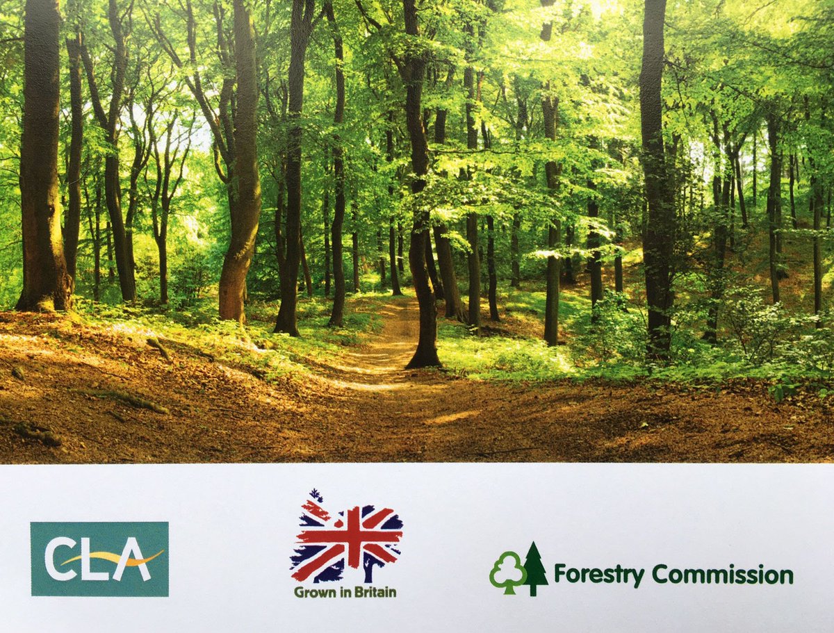 GrowninBritain's tweet photo. Today, as part of #GiBWeek2019, we are at the Annual Forestry Conference, for a day of discussion about the future of the UK's forests. Our CEO Dougal Driver is chairing a Q&amp;A session, which this year focusses on how UK woodlands have the potential to ‘Supply more than timber’. https://t.co/miKLruXJvI