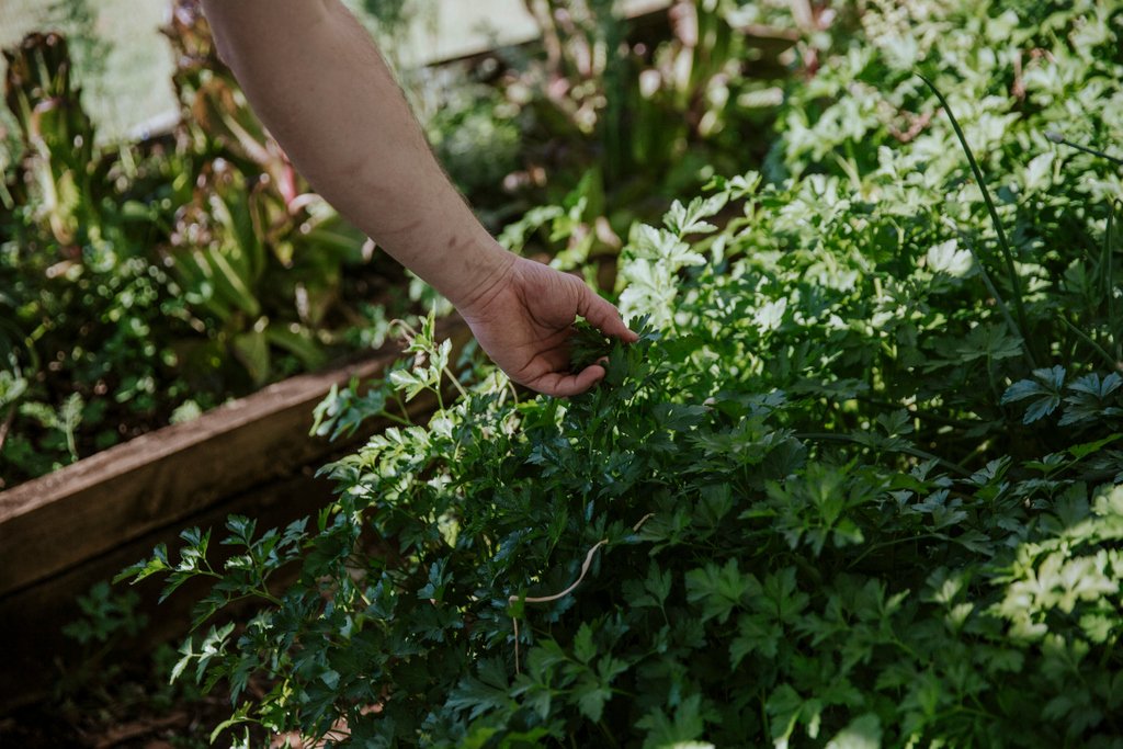 Brouhaha Brewery (@brouhahabrewery) on Twitter photo Join us and <a href="/sowgreat/">sytonia stuggis</a> on Sun Oct 20 for a workshop on growing an abundant veggie patch. You will be taken through the whole process from design to harvest. Then enjoy a four-course beer pairing menu from @brouhaharestaurant. Head to the link in our bio to grab your tickets. Join us and <a href="/sowgreat/">sytonia stuggis</a> on Sun Oct 20 for a workshop on growing an abundant veggie patch. You will be taken through the whole process from design to harvest. Then enjoy a four-course beer pairing menu from @brouhaharestaurant. Head to the link in our bio to grab your tickets.