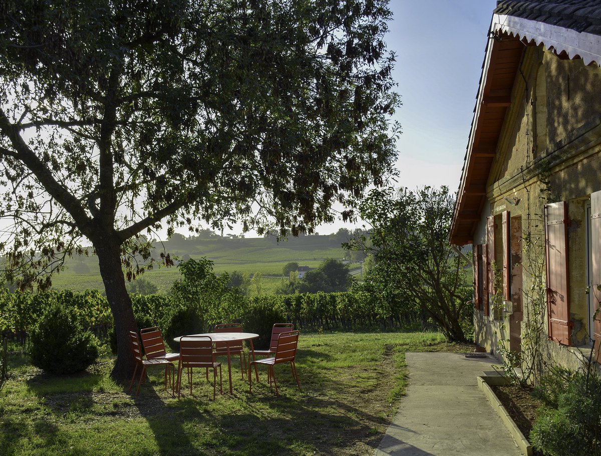 Vins de Castillon tweet media