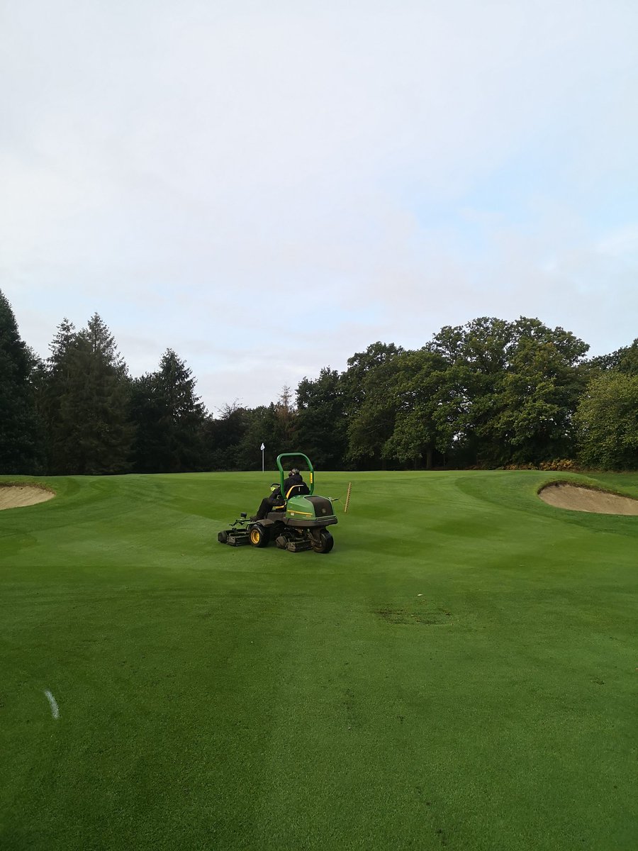 Lee Bishop tweet media