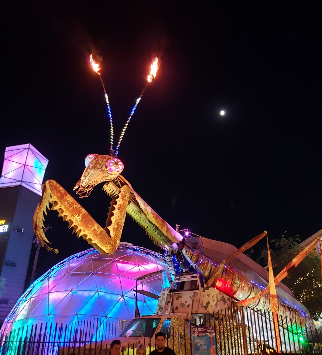 Zombies_r_fun's tweet photo. The container park mantis https://t.co/4RTRFPgxpO