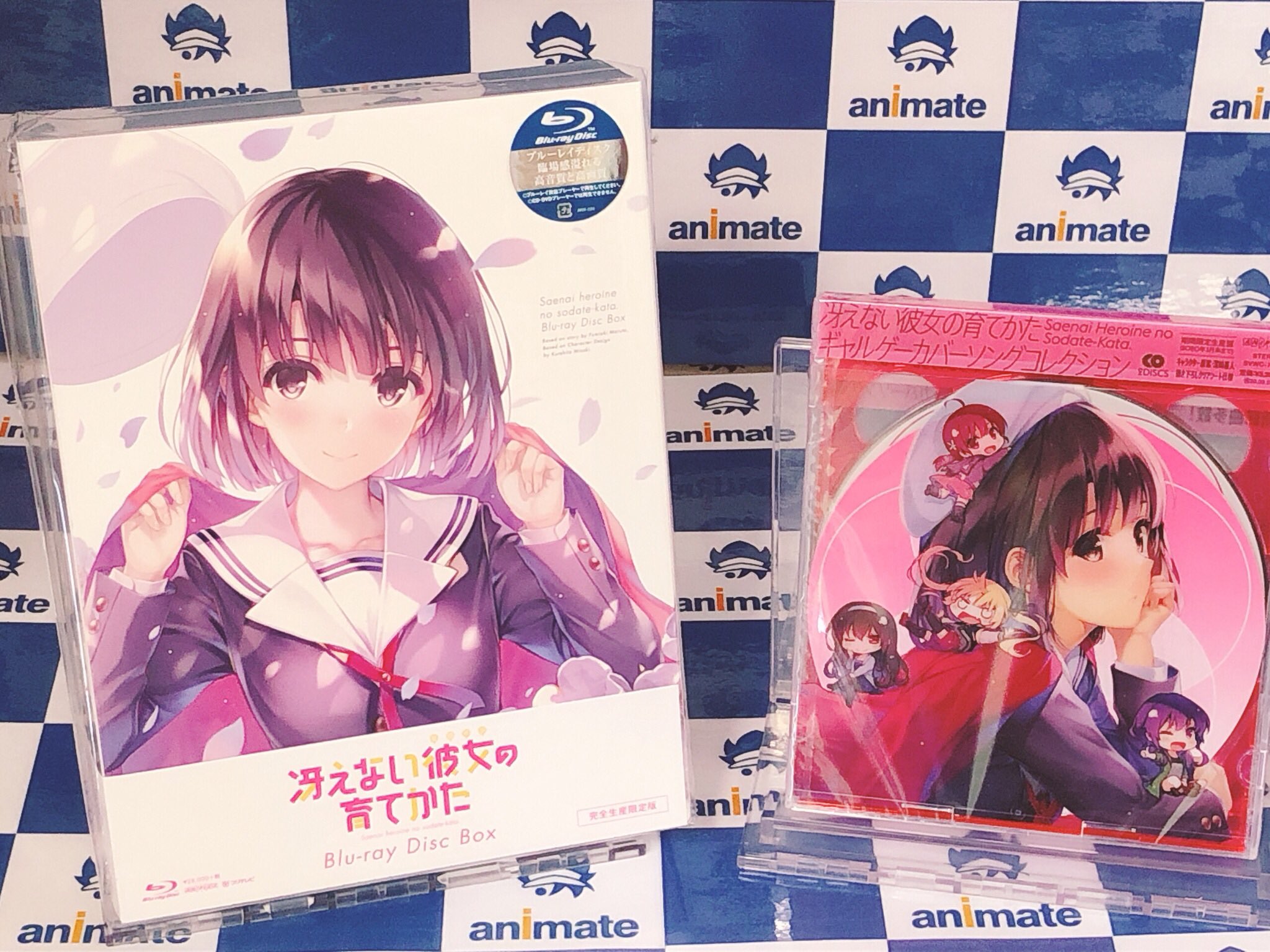 人気を誇る 冴えない彼女の育てかた Blu-ray セット Box Disc アニメ 人気を誇る 冴えない彼女の育てかた Blu-ray セット Box Disc アニメ