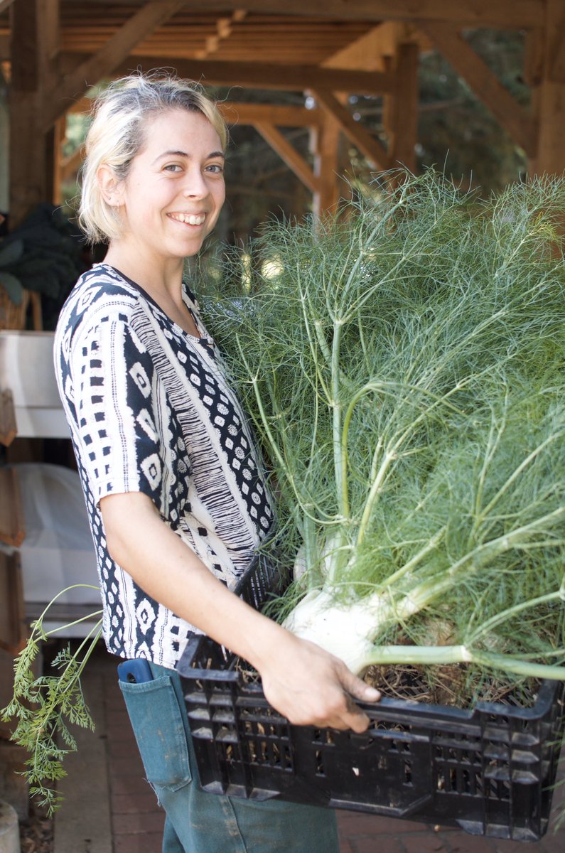 gcuof's tweet photo. Here’s a few more shots of produce that will be available at this Thursday’s #market! And, look that’s Elizabeth holding that fennel! Thanks for your hard work! #uofg #uofgorganicfarm #learningfarm #studentfarm https://t.co/DDW3tviFMs