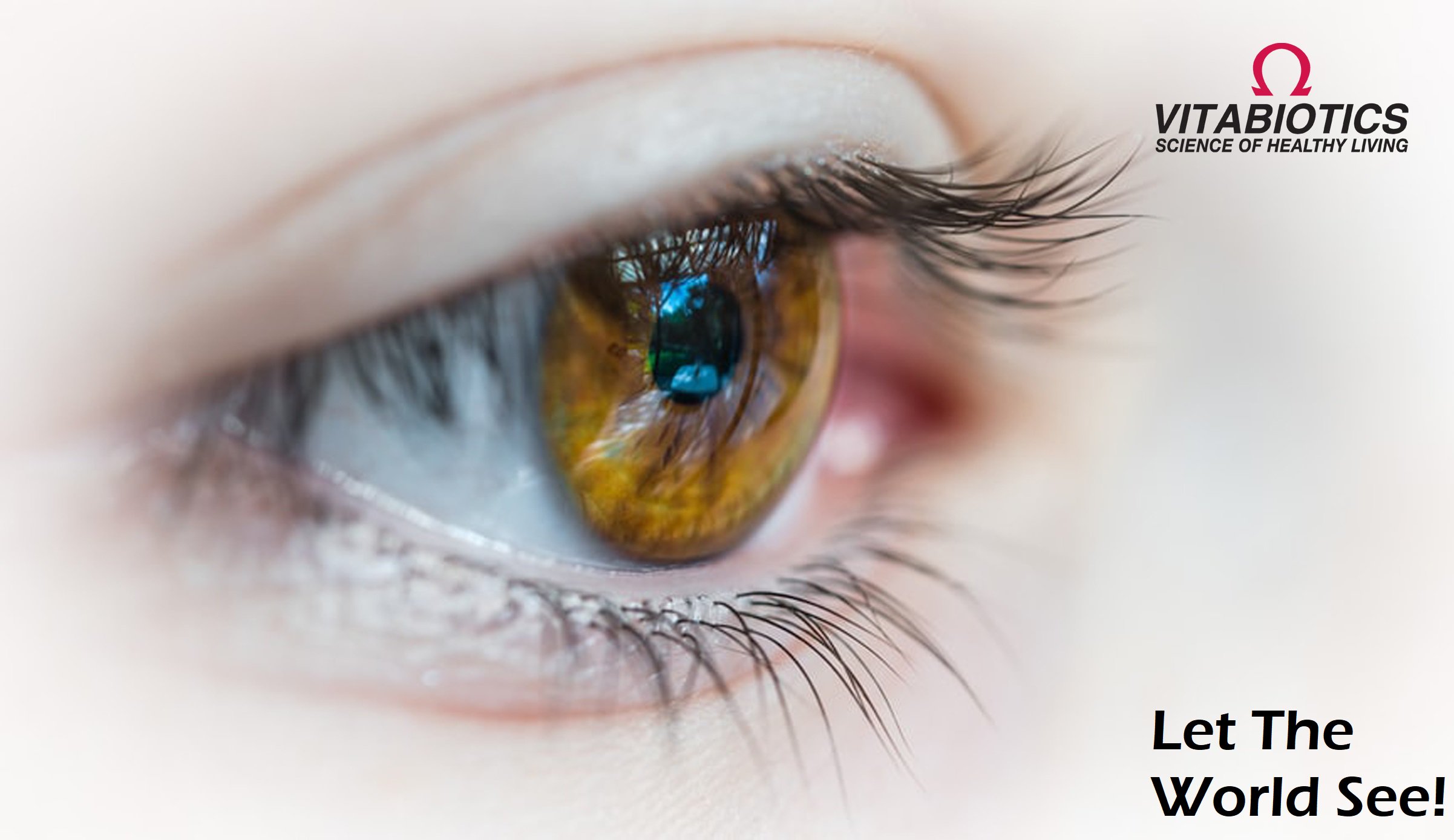 Visionace Twitter Search Twitter