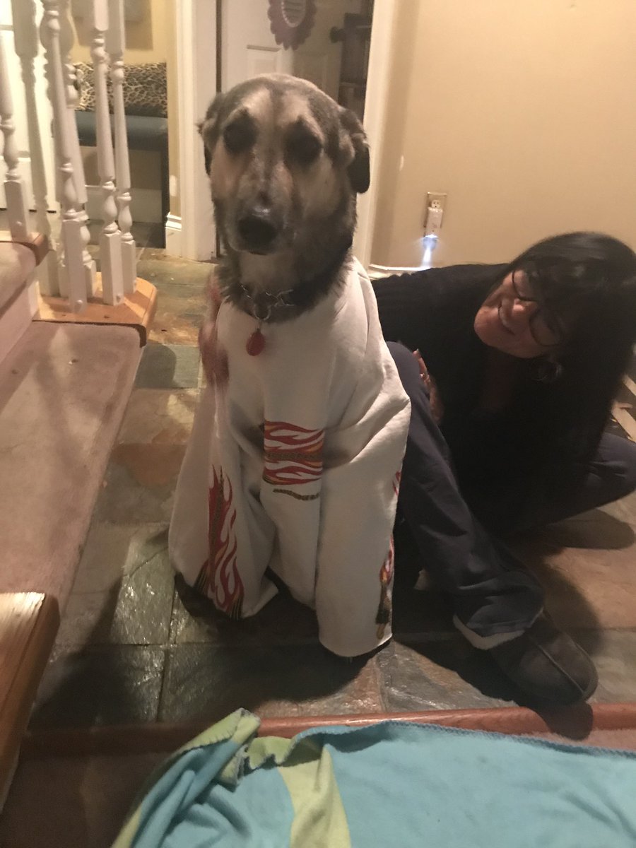 rachellmcqueen's tweet photo. My mom and her bf gave my dog a bath today and then put her in a sweater so “she wouldn’t get cold” https://t.co/7MnolbZLqz