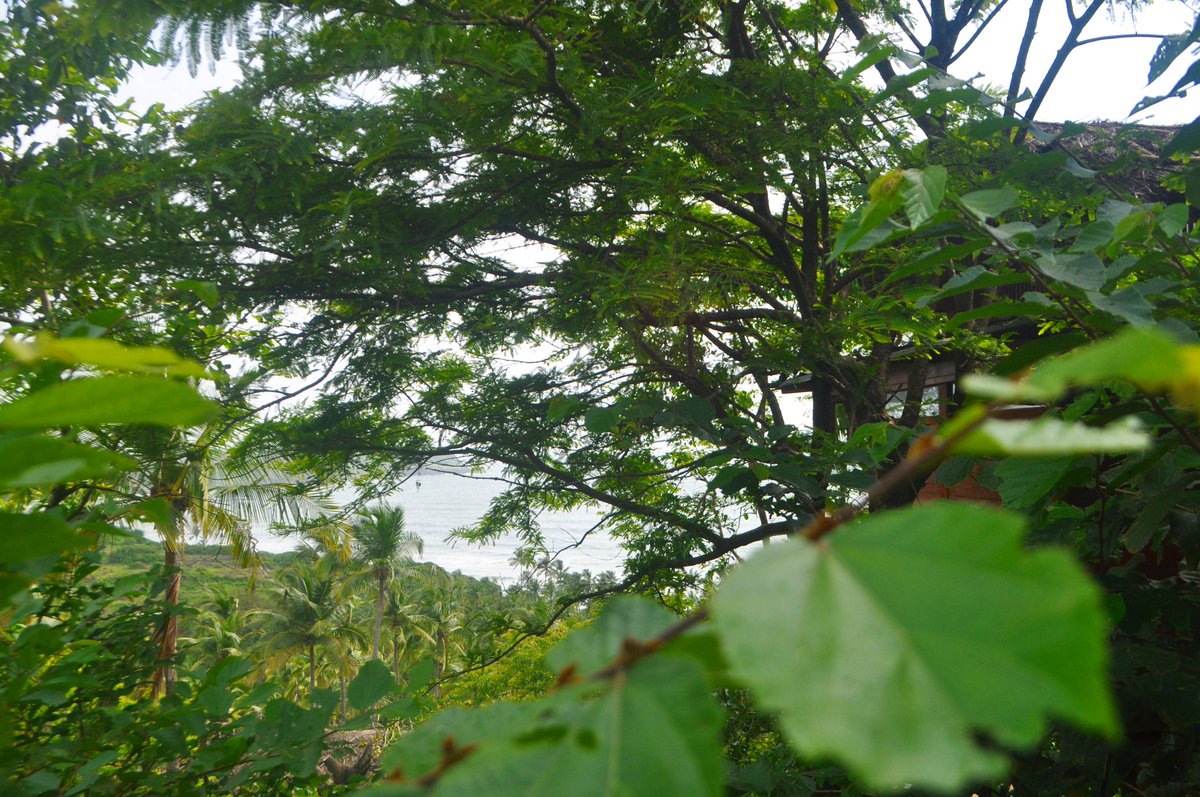 Rejuvenate and Relax in our spacious Classic Cabo Cottages situated on a secluded hill and nestled in lush forest with stunning views of the Arabian Sea. #caboserai #caboderama #southgoa #wellness #barefootluxury #SustainableTravel #responsibletourism #luxuryretreat #beachretreat