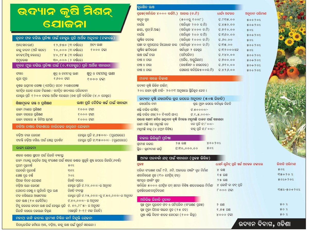 ଉଦ୍ୟାନ କୃଷି ମିଶନ ଯୋଜନା 
#horticulture <a href="/krushibibhag/">କୃଷି ବିଭାଗ, ଓଡ଼ିଶା</a>